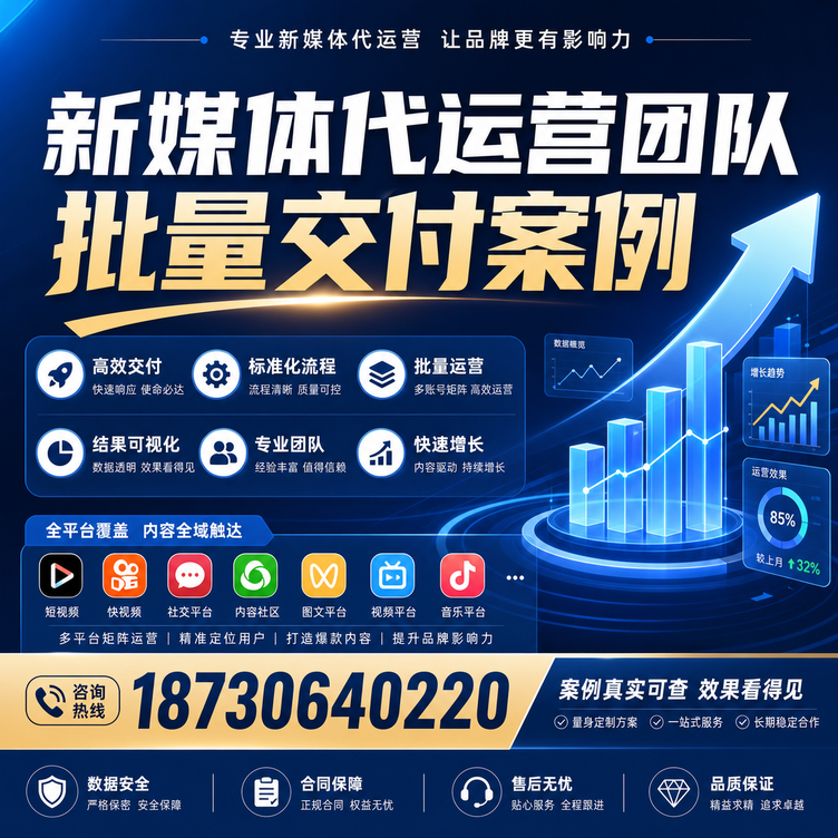 阿拉善代运营公司多客户账号批量高效交付案例